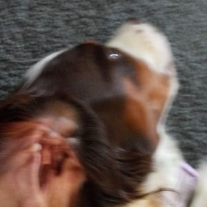 Meet your Posher, Alexis